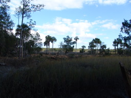 DSC04399.JPG