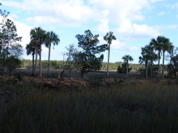 DSC04400.JPG