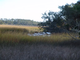 DSC04401.JPG
