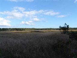 DSC04402.JPG