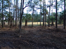 DSC04411.JPG