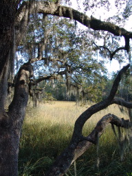 DSC04413.JPG