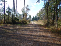 DSC04415.JPG