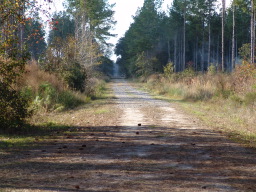 DSC04416.JPG