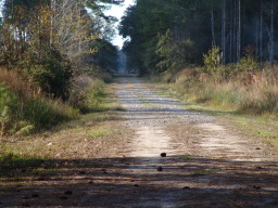 DSC04417.JPG