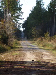 DSC04418.JPG