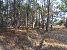 DSC04419.JPG