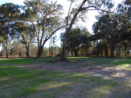 DSC04422.JPG