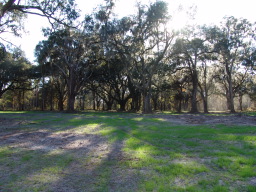 DSC04423.JPG