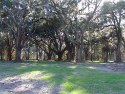 DSC04424.JPG
