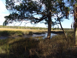DSC04432.JPG