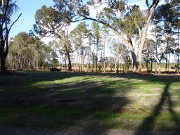 DSC04439.JPG