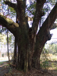 DSC04442.JPG
