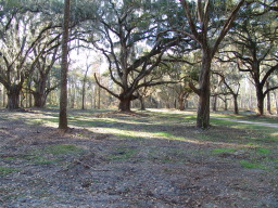DSC04444.JPG
