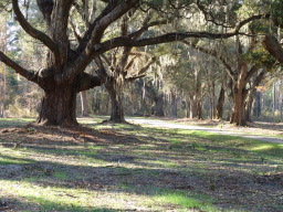 DSC04445.JPG