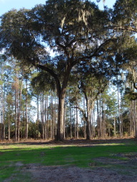 DSC04451.JPG