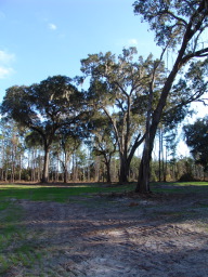 DSC04452.JPG