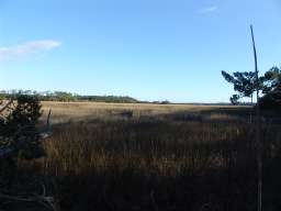 DSC04458.JPG