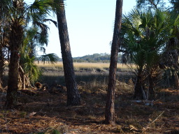 DSC04466.JPG