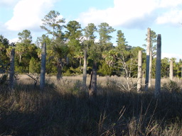 DSC04471.JPG