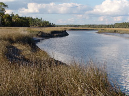 DSC04479.JPG