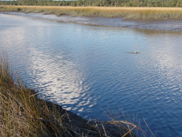 DSC04480.JPG