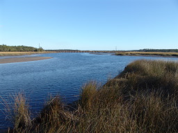 DSC04481.JPG