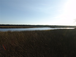 DSC04482.JPG