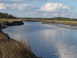 DSC04483.JPG