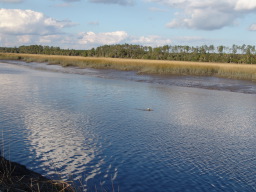 DSC04485.JPG