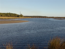 DSC04489.JPG
