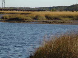DSC04493.JPG