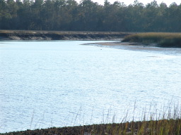 DSC04500.JPG