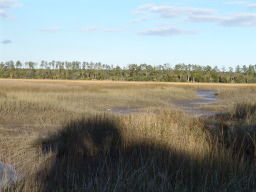 DSC04511.JPG