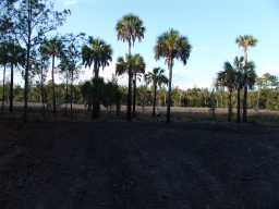 DSC04522.JPG